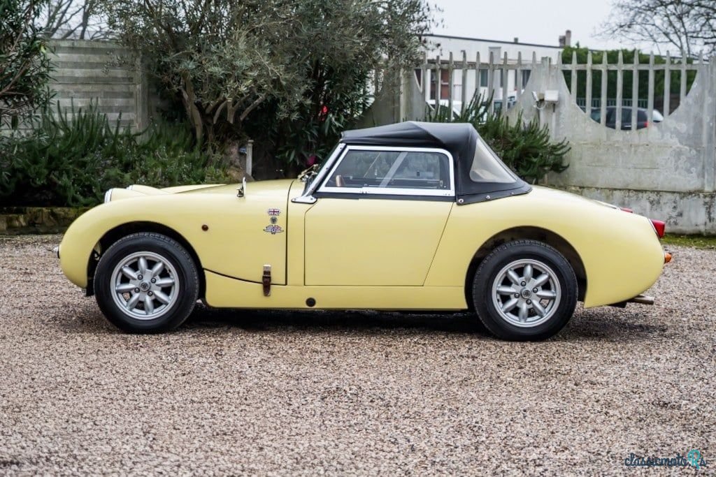 1959' Austin-Healey Sprite photo #4