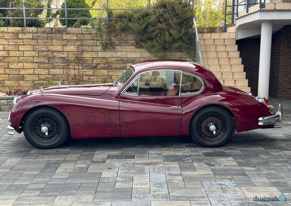 1955' Jaguar XK photo #5