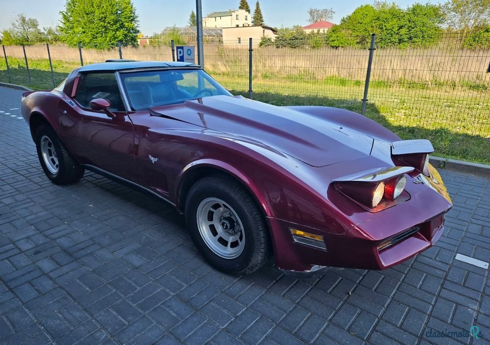 1979' Chevrolet Corvette photo #1