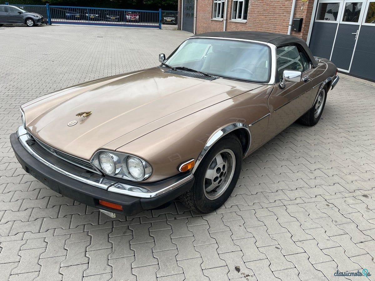 1989' Jaguar XJS photo #1