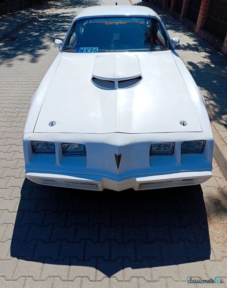 1979' Pontiac Firebird photo #2