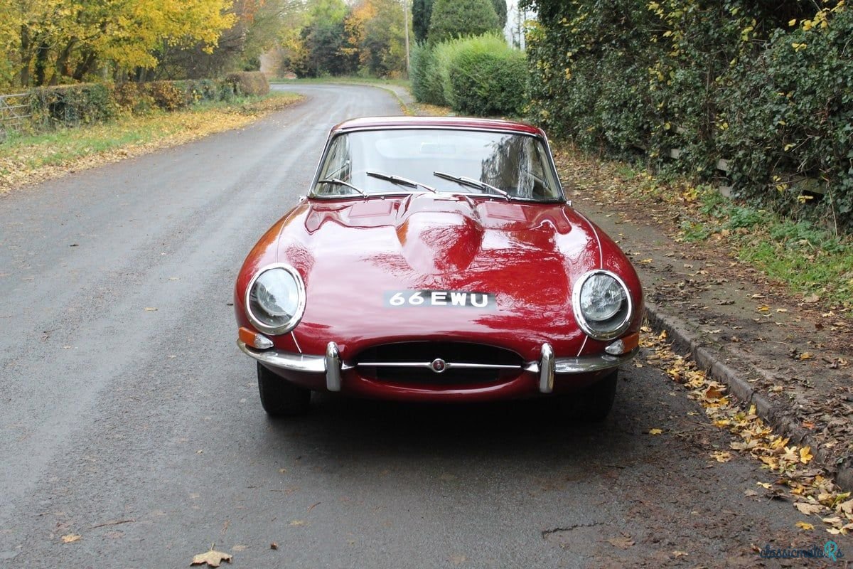 1968' Jaguar E-Type photo #2
