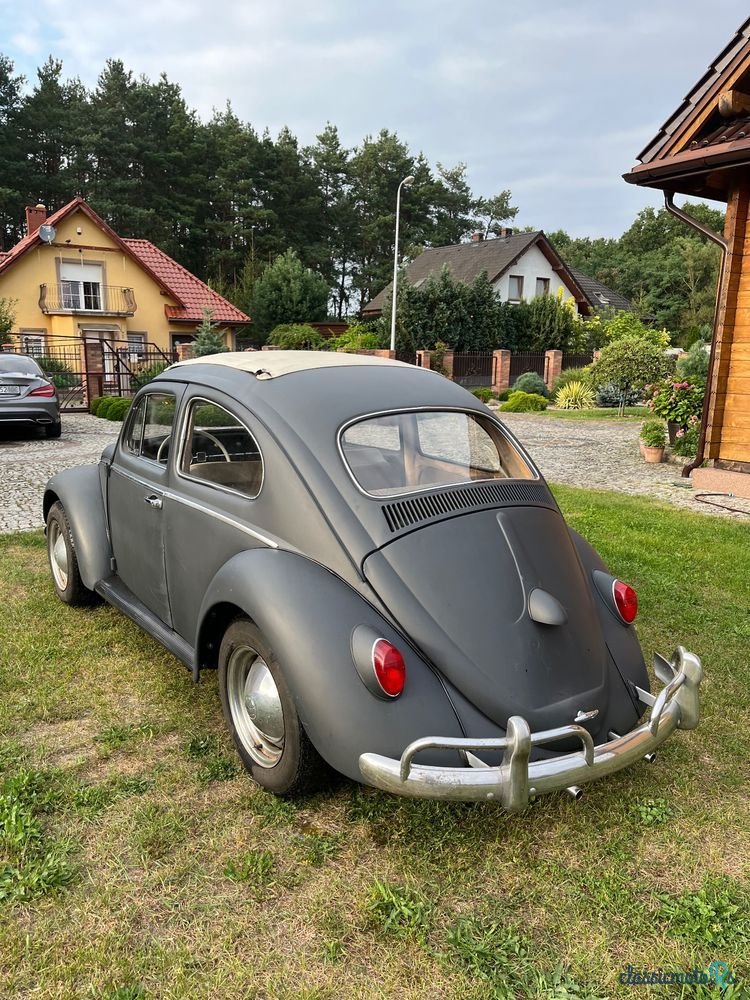 1962' Volkswagen Garbus photo #6