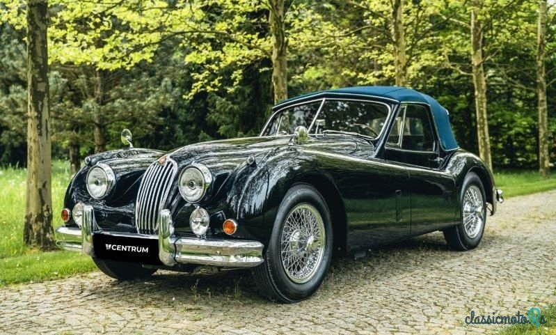 1955' Jaguar XK photo #1