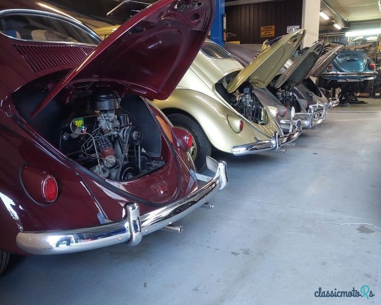 1956' Volkswagen Garbus photo #1
