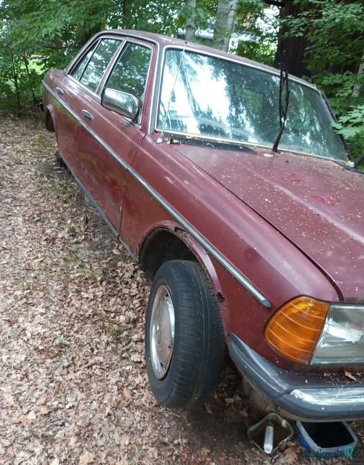 1977' Mercedes-Benz W123 photo #6