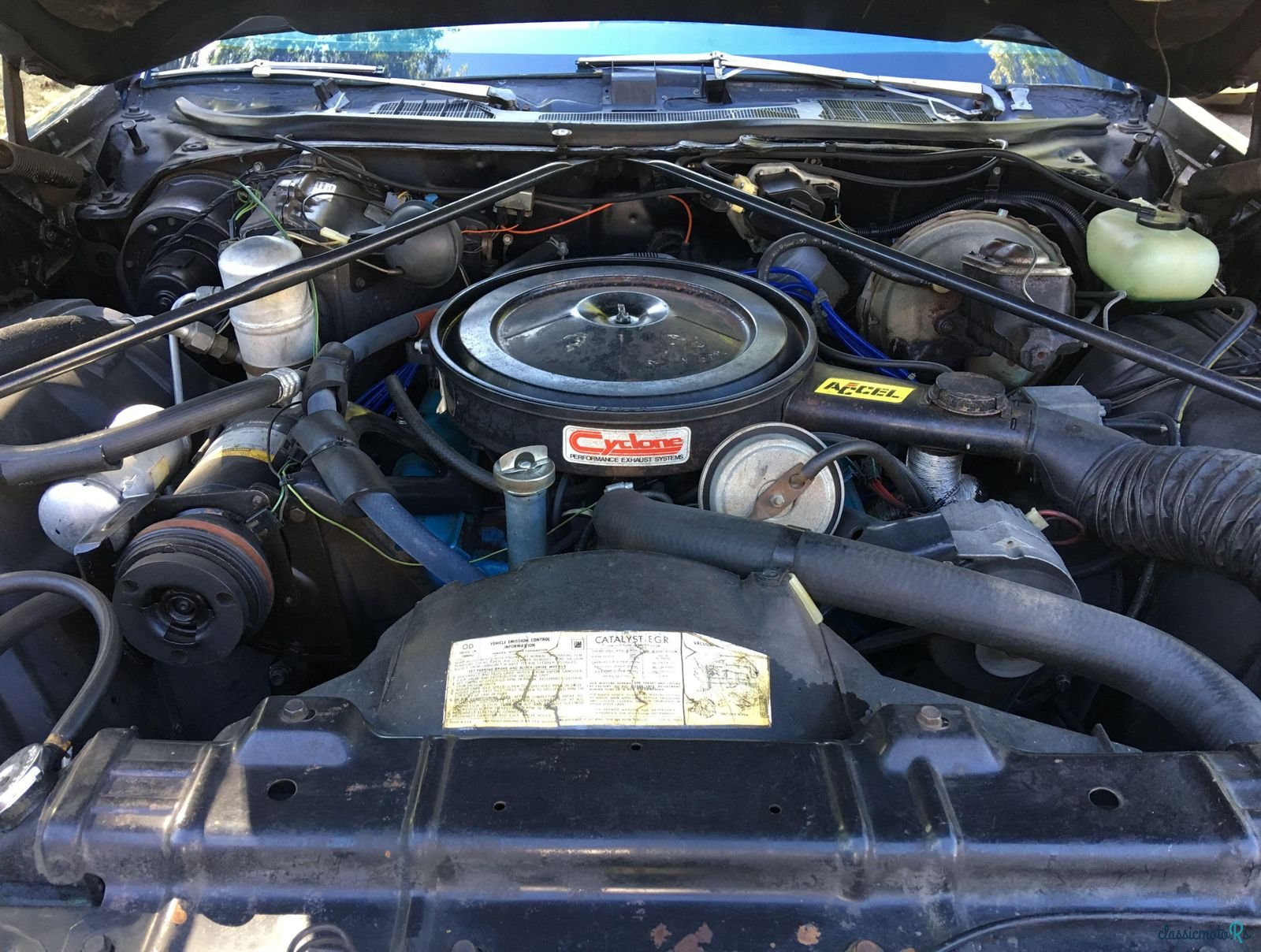 1977' Oldsmobile Cutlass Supreme photo #3