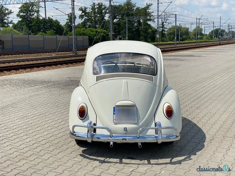 1966' Volkswagen Garbus photo #4