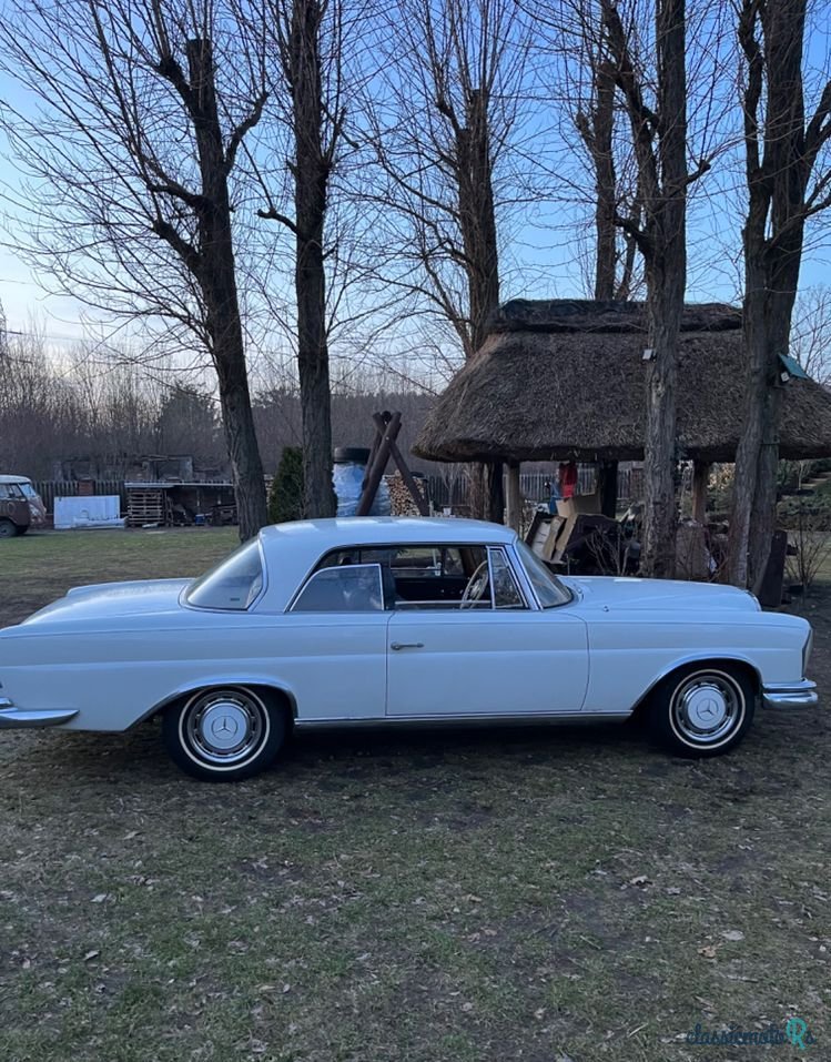 1965' Mercedes-Benz 220SE photo #5