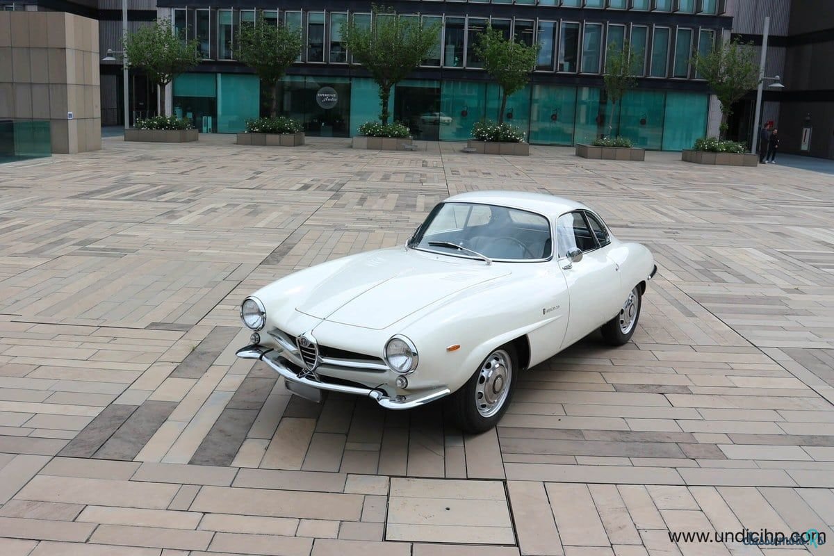 1964' Alfa Romeo Giulia photo #5