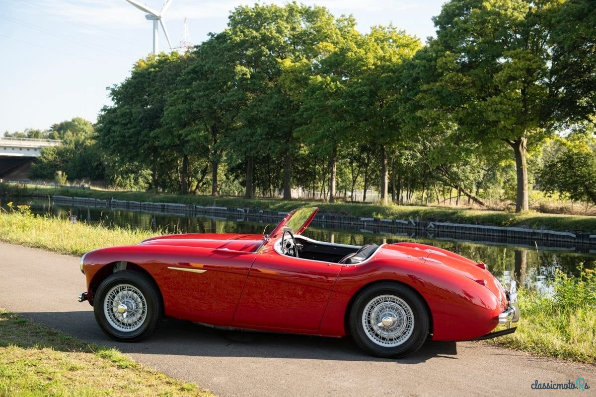 1955' Austin-Healey 100/4 photo #3