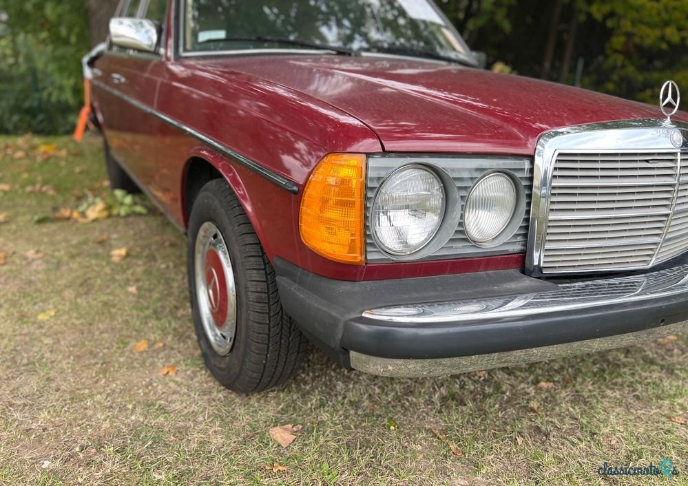 1977' Mercedes-Benz W123 photo #1