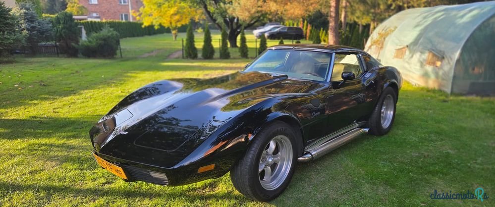 1977' Chevrolet Corvette photo #2
