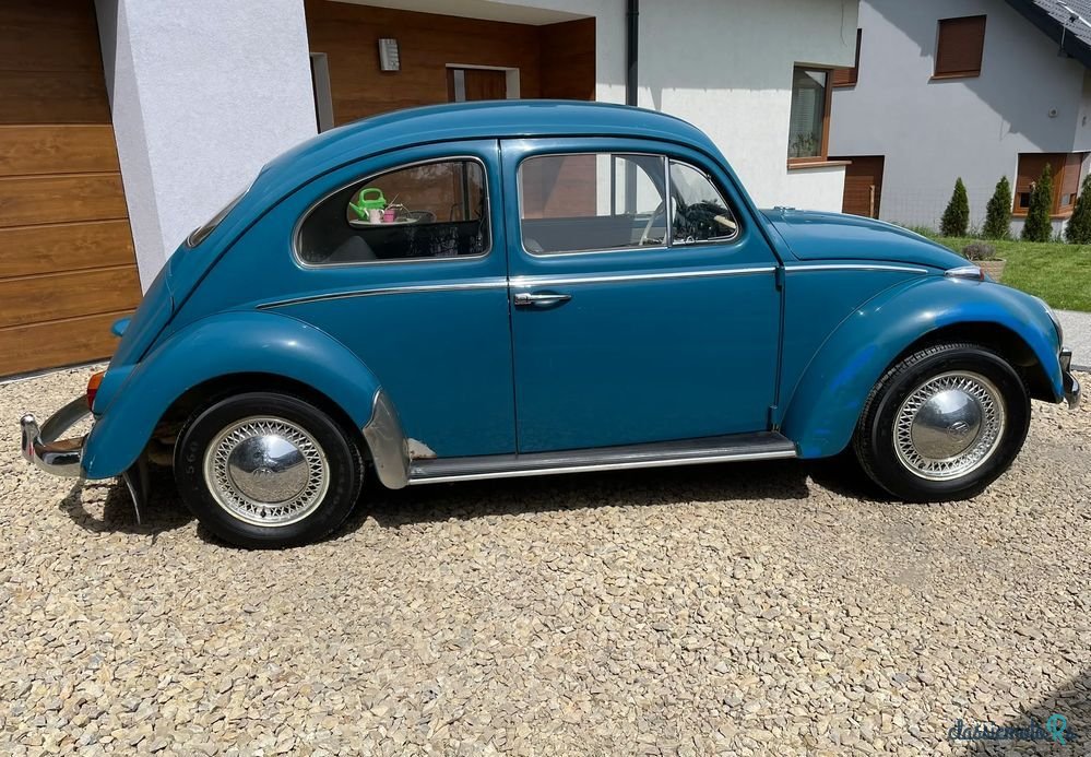 1964' Volkswagen Garbus photo #4