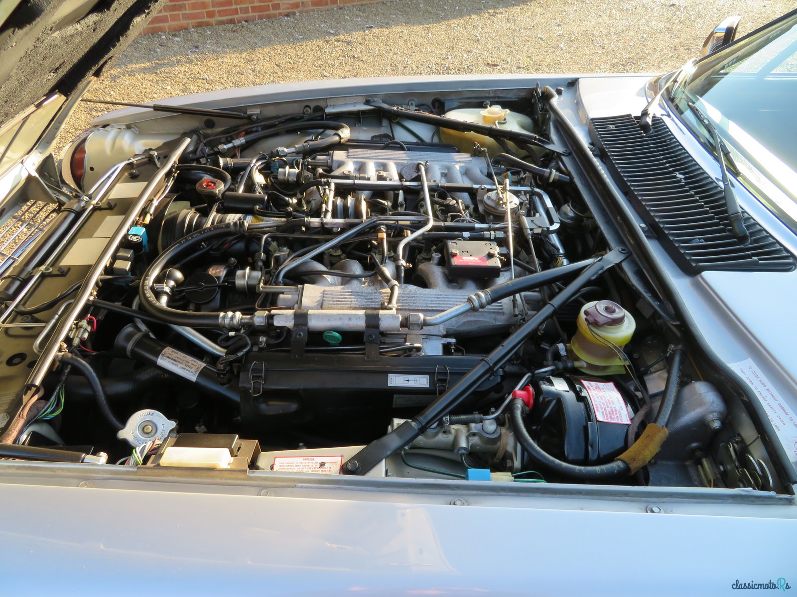 1988' Jaguar XJS photo #5