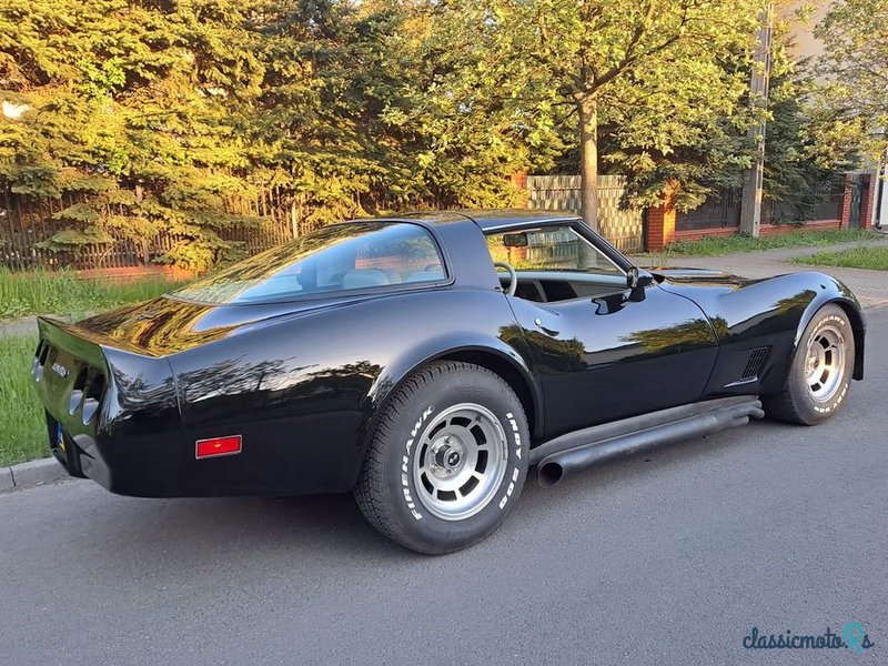 1979' Chevrolet Corvette photo #3