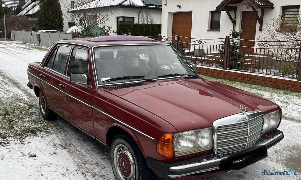 1976' Mercedes-Benz W123 photo #1