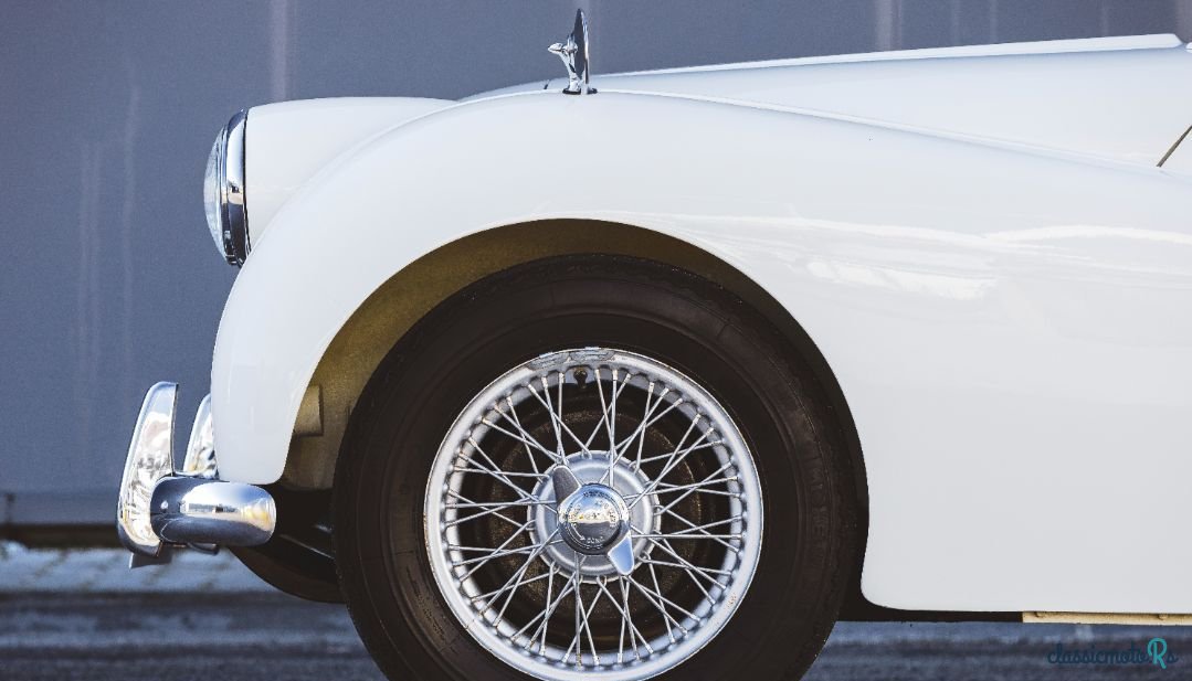1954' Triumph TR2 photo #2