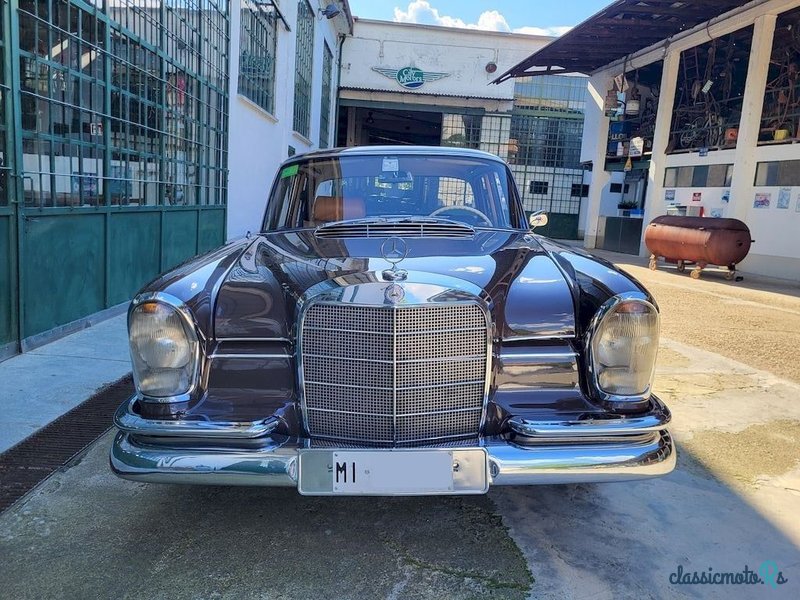 1965' Mercedes-Benz 220 photo #6