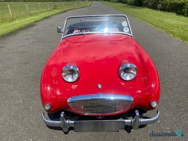 1959' Austin-Healey Sprite photo #3