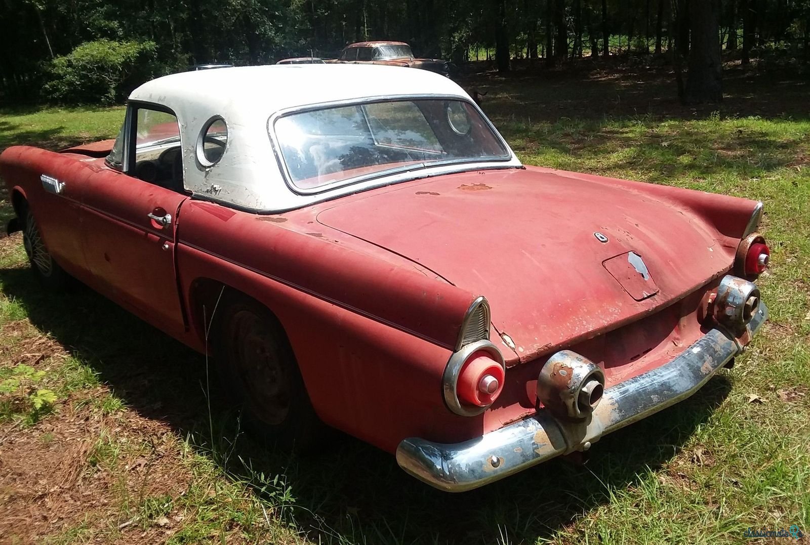 1955' Ford Thunderbird photo #5
