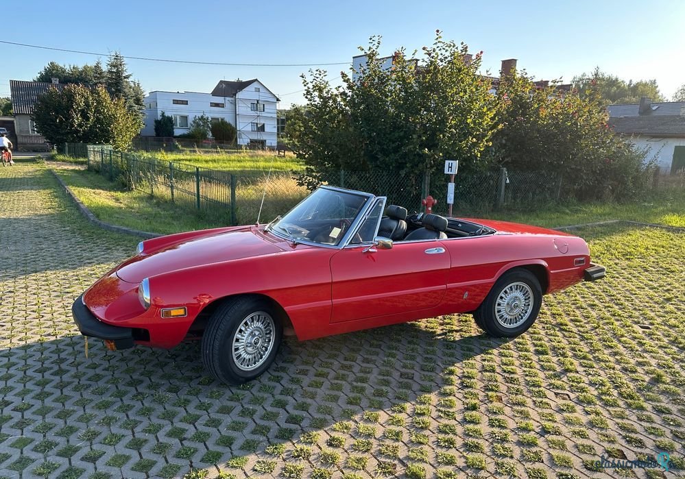 1974' Alfa Romeo Spider 2.0 photo #3