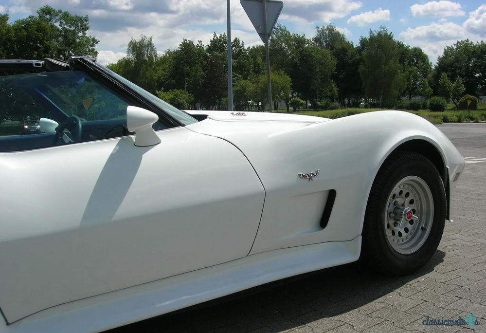 1977' Chevrolet Corvette photo #3