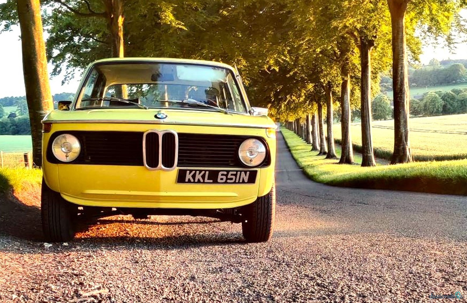 1975' BMW 2002 Tii photo #4
