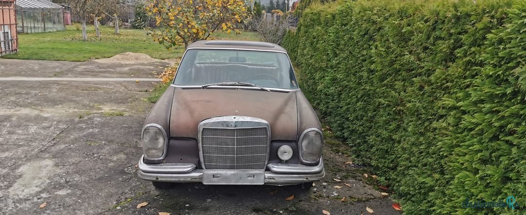 1968' Mercedes-Benz 280 photo #5