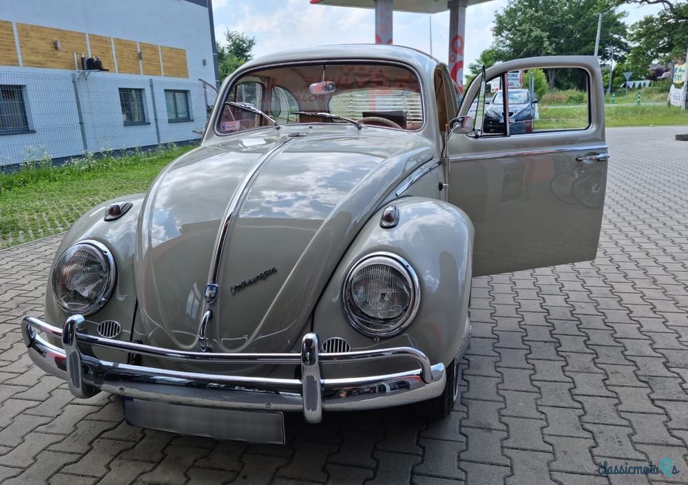 1962' Volkswagen Garbus photo #6