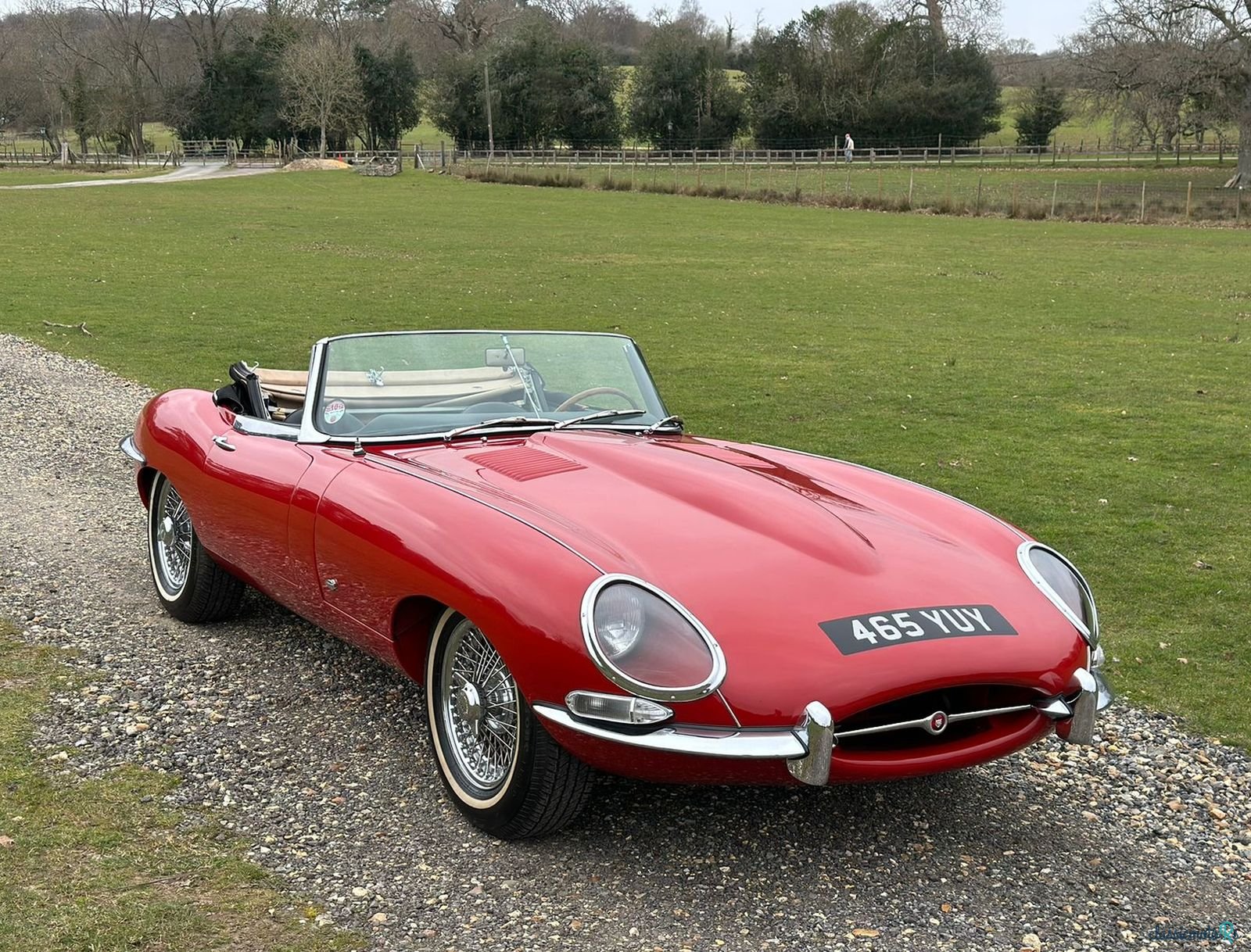 1961' Jaguar E-Type photo #1