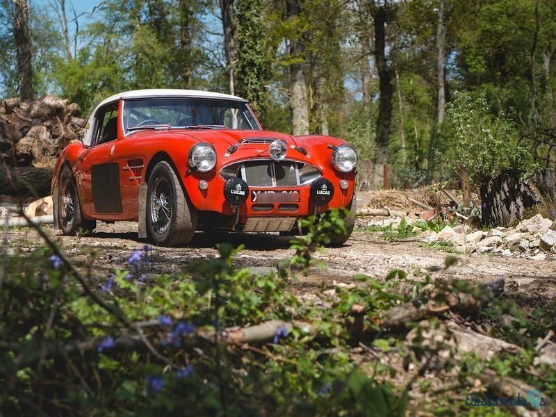 1960' Austin-Healey 3000 photo #2