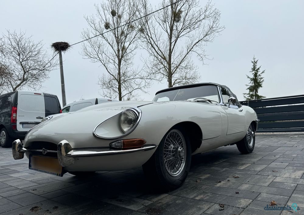 1968' Jaguar E-Type photo #5