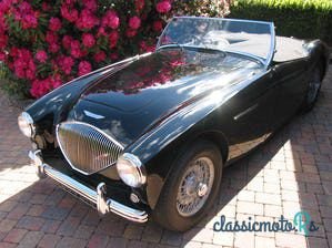 1954' Austin-Healey 100-4 photo #3
