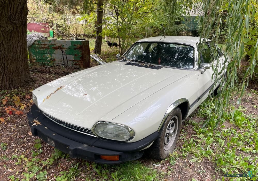 1976' Jaguar XJS photo #5