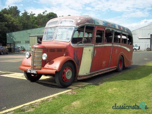 1951' Bedford OB photo #1