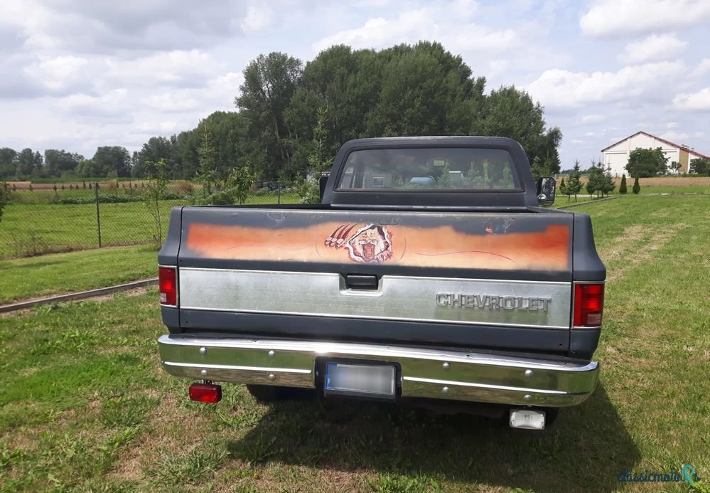 1975' Chevrolet C-20 photo #4