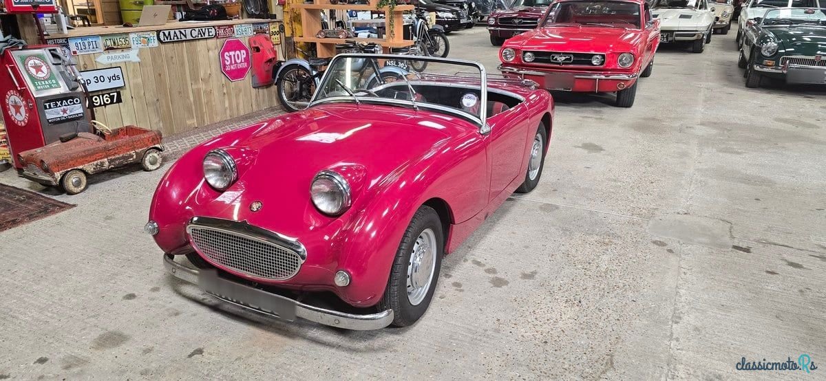 1959' Austin-Healey Sprite photo #2