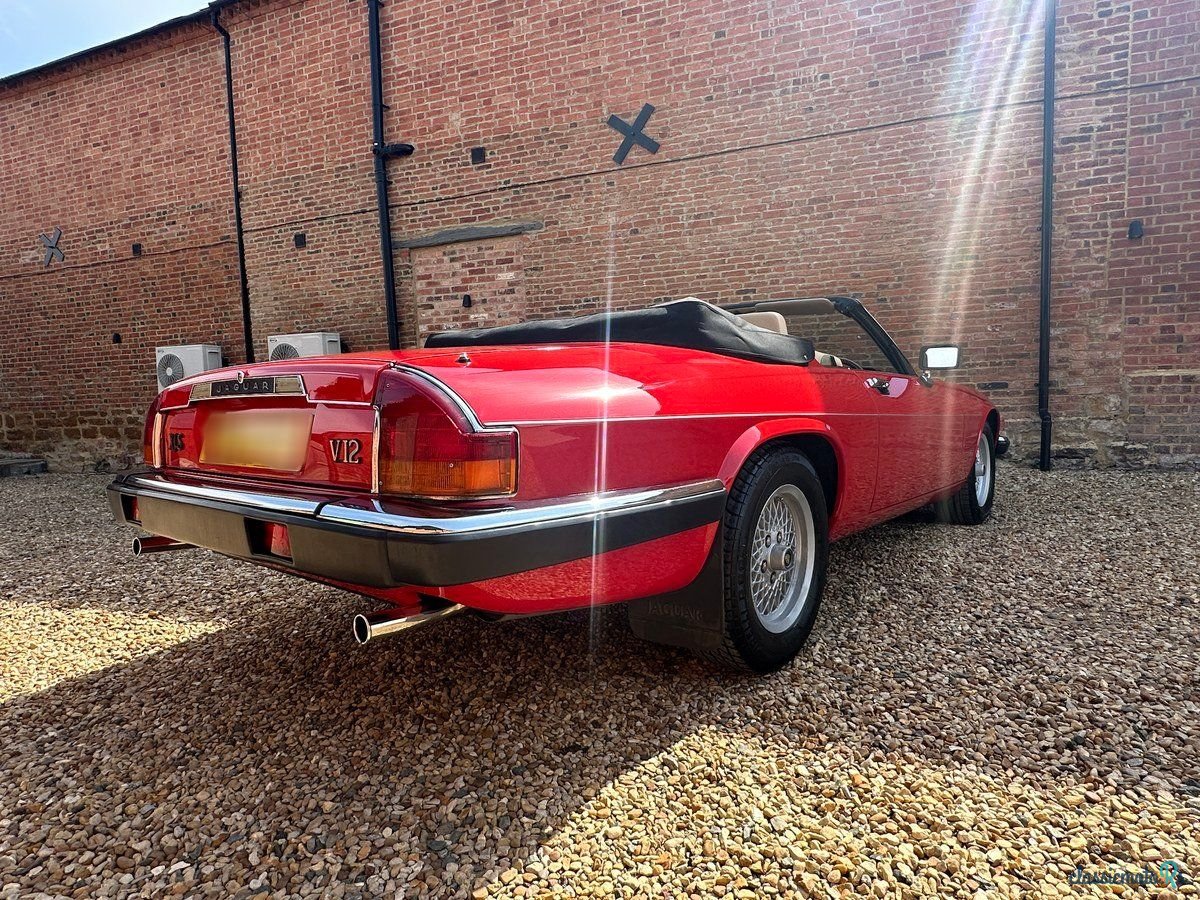 1989' Jaguar XJS photo #3