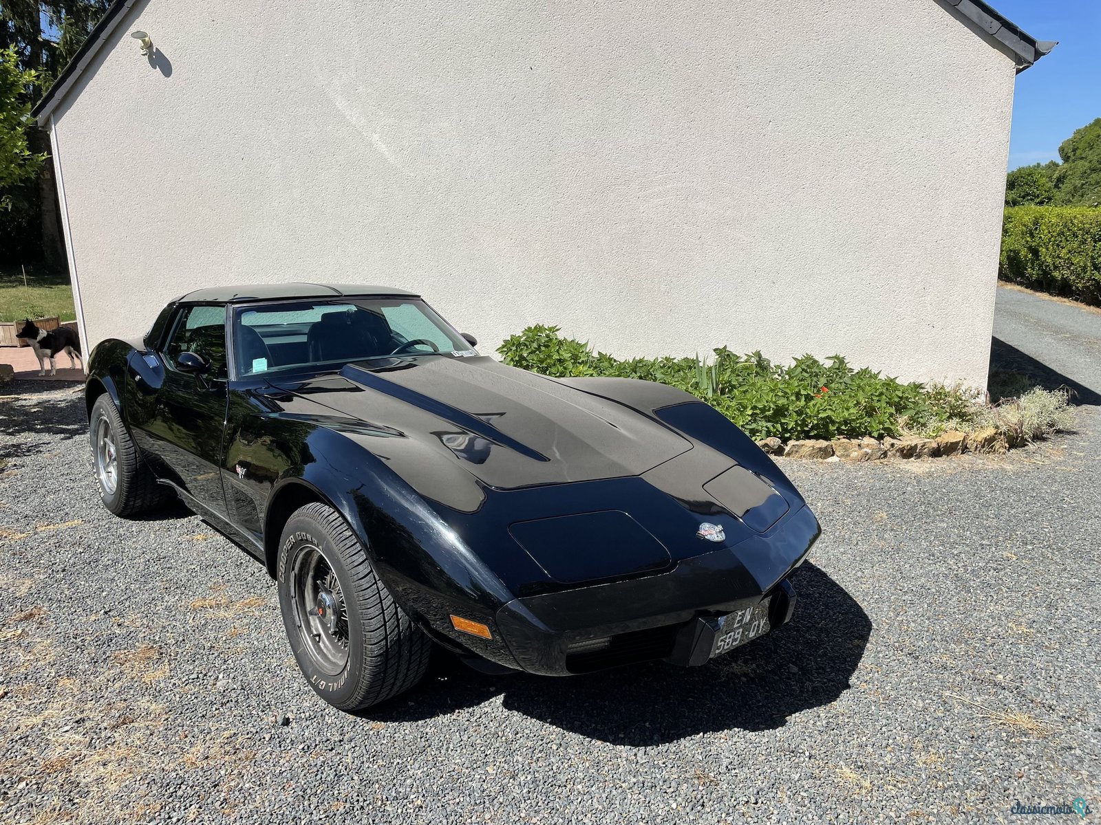 1978' Chevrolet Corvette photo #1