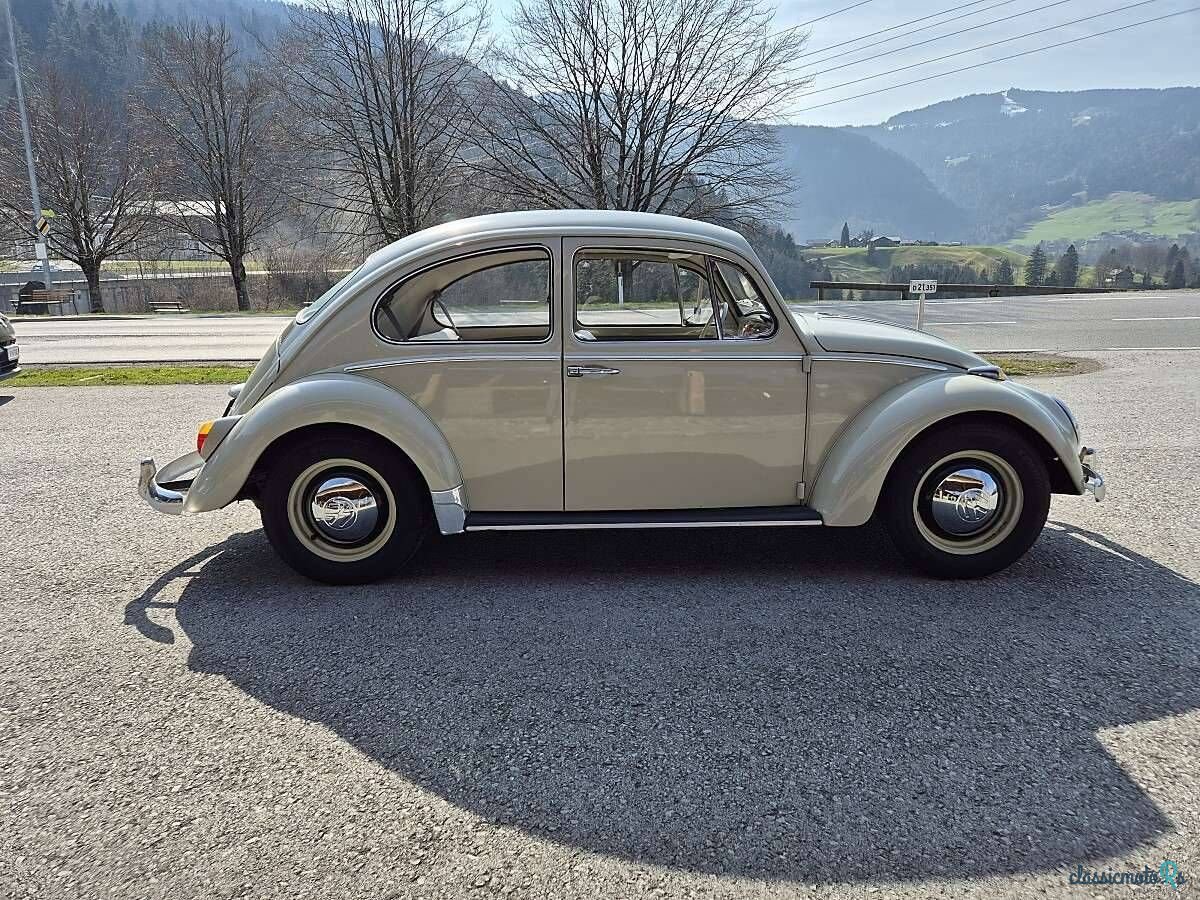 1965' Volkswagen Käfer photo #6