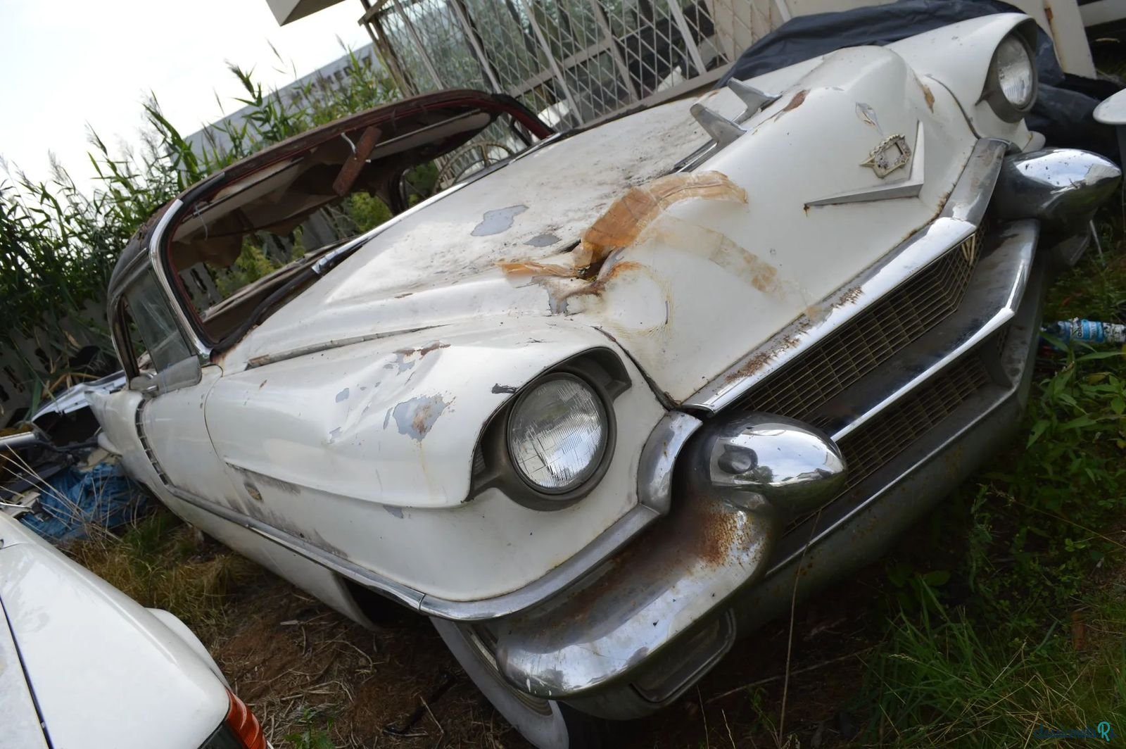 1956' Cadillac Eldorado photo #3