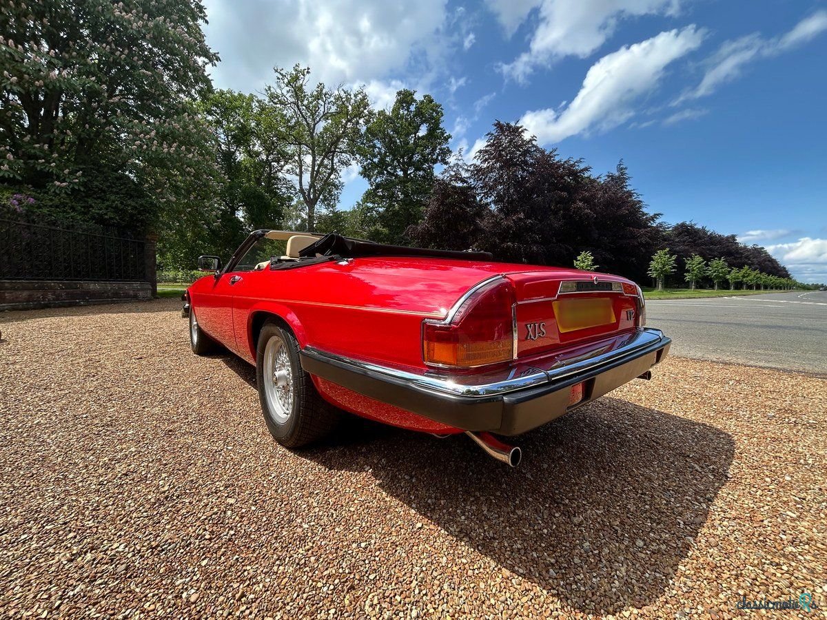 1989' Jaguar XJS photo #6