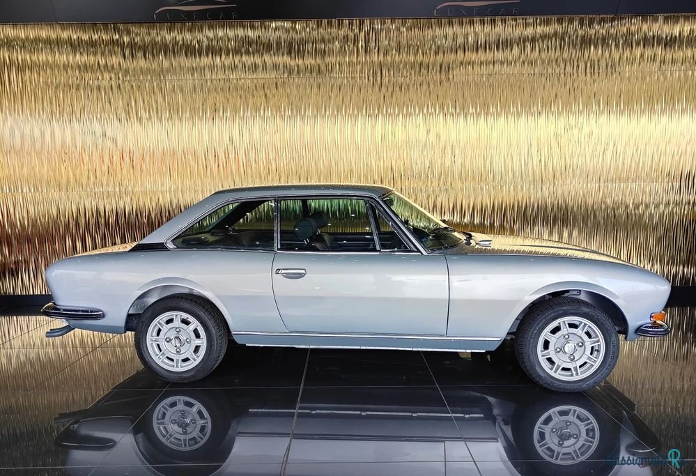 1977' Peugeot 504 photo #4