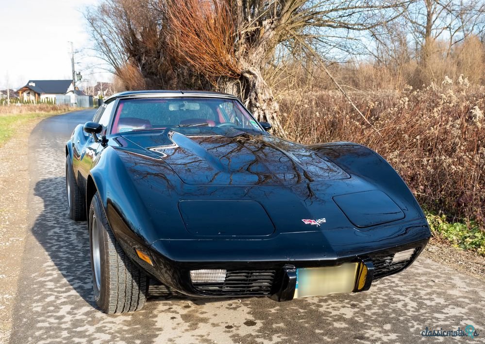 1979' Chevrolet Corvette photo #2
