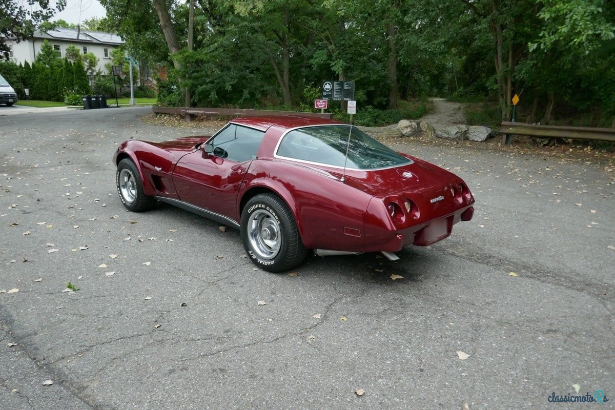 1978' Chevrolet Corvette photo #6