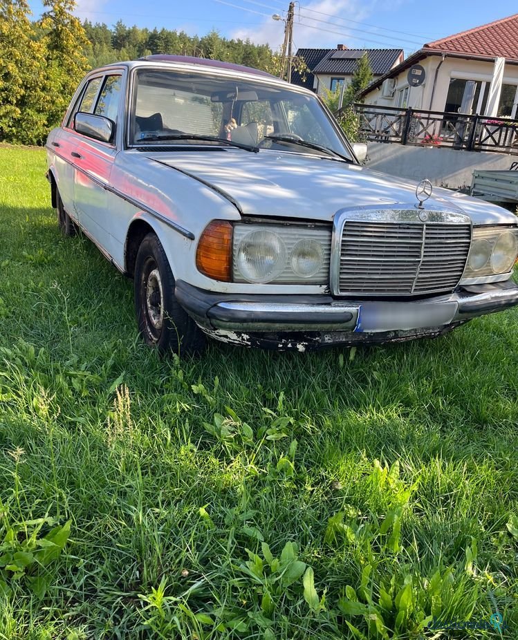 1980' Mercedes-Benz W123 photo #2