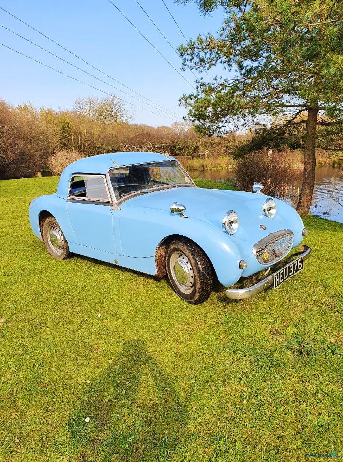1959' Austin-Healey Sprite photo #4