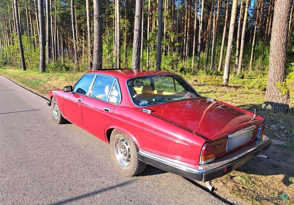 1980' Jaguar XJ photo #3