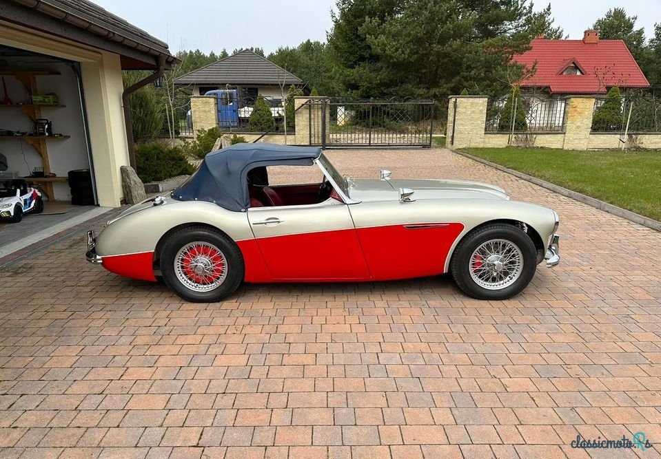 1960' Austin-Healey 3000 photo #5